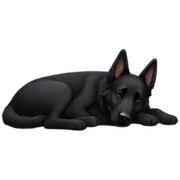 Black German shepherd sleeping sticker
