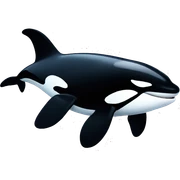 Orca  sticker