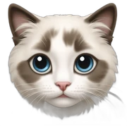 ragdoll kitten sticker