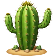 Cactus sticker