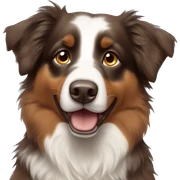 Brown Australian shepherd  sticker