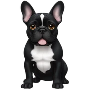 Black colored French bulldog sticker