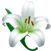 Lily flower sticker
