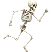 Running skeleton sticker
