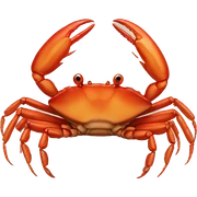 crabe sticker