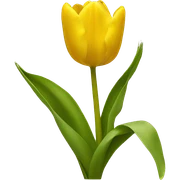 yellow tulip sticker