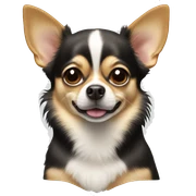 Chihuahua sticker
