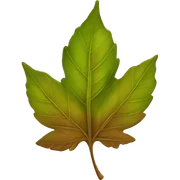 Leaves sticker