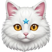 Cat With Stars in eye
 sticker