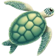 Sea turtle  sticker