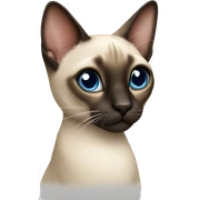 Siamese cat sticker