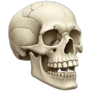 Atlas Bone sticker