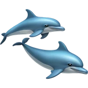 Dolphin sticker