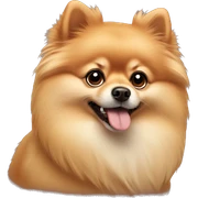 Pomeranian  sticker