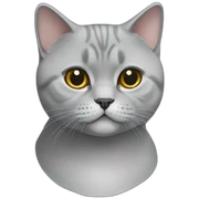 British Shorthair sticker