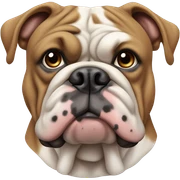 Bulldog  sticker