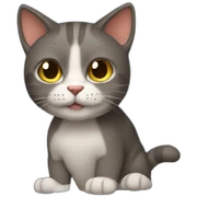 Gato sticker