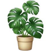 monstera plant sticker