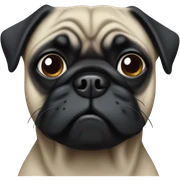 Black pug sticker