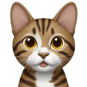 Brown and white tabby sticker