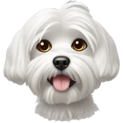 Maltese sticker