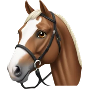 Dressage horse sticker