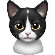 black and white kitten sticker