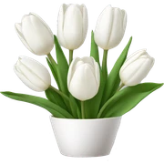 White tulips sticker