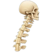cervical-spine sticker