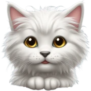 kitty kitty kitty cat sticker