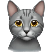 Gray cat sticker