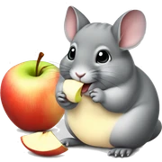 Chinchilla eating sliced Apple  sticker