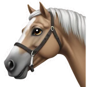 Arabian horse sticker