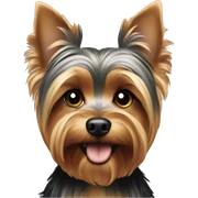 Yorkie dog sticker