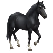 Black horse sticker