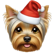 Yorkshire terrier Christmas hat  sticker