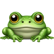 Frog sticker