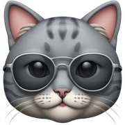 Cat with sunglasses sticker