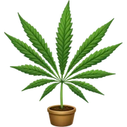 Ganja sticker