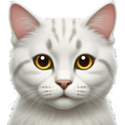 Scottish cat sticker