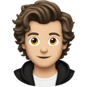Harry styles  sticker