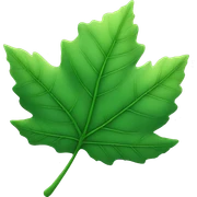 leaf sticker