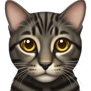 Black tabby with golden eyes sticker