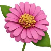 Pink zinnia sticker
