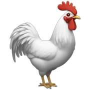pcock sticker