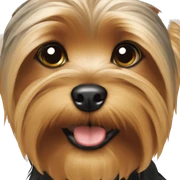 Yorkie  sticker