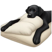 black lab sleeping on back sticker