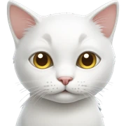 Cute white cat sticker