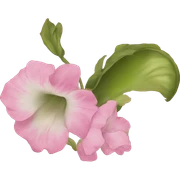Coquett sticker