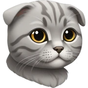 Grey Scottish fold cat  sticker